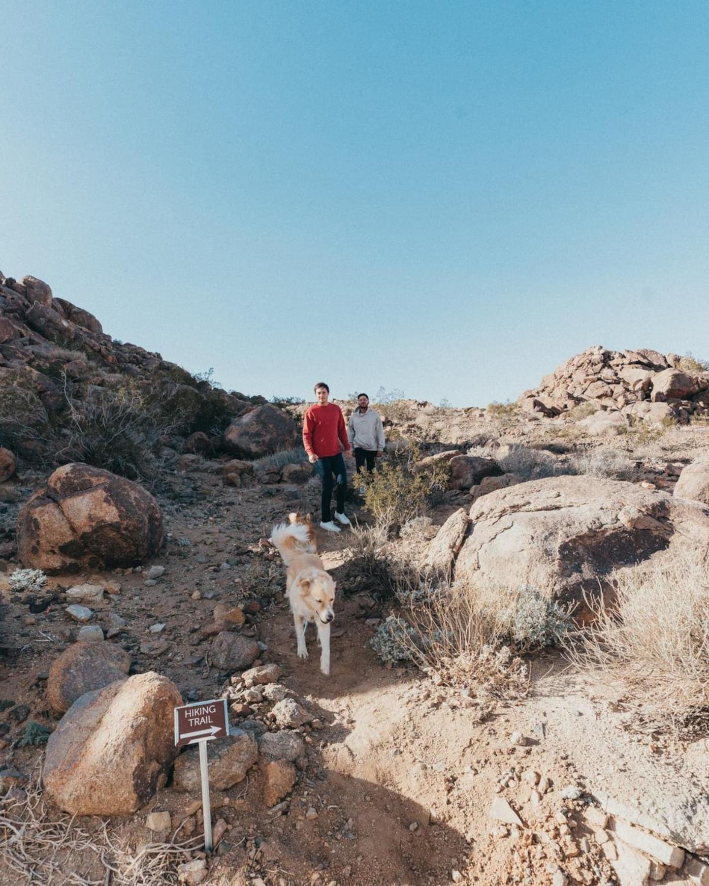 Prism By The Cohost Company Villa Joshua Tree Luaran gambar